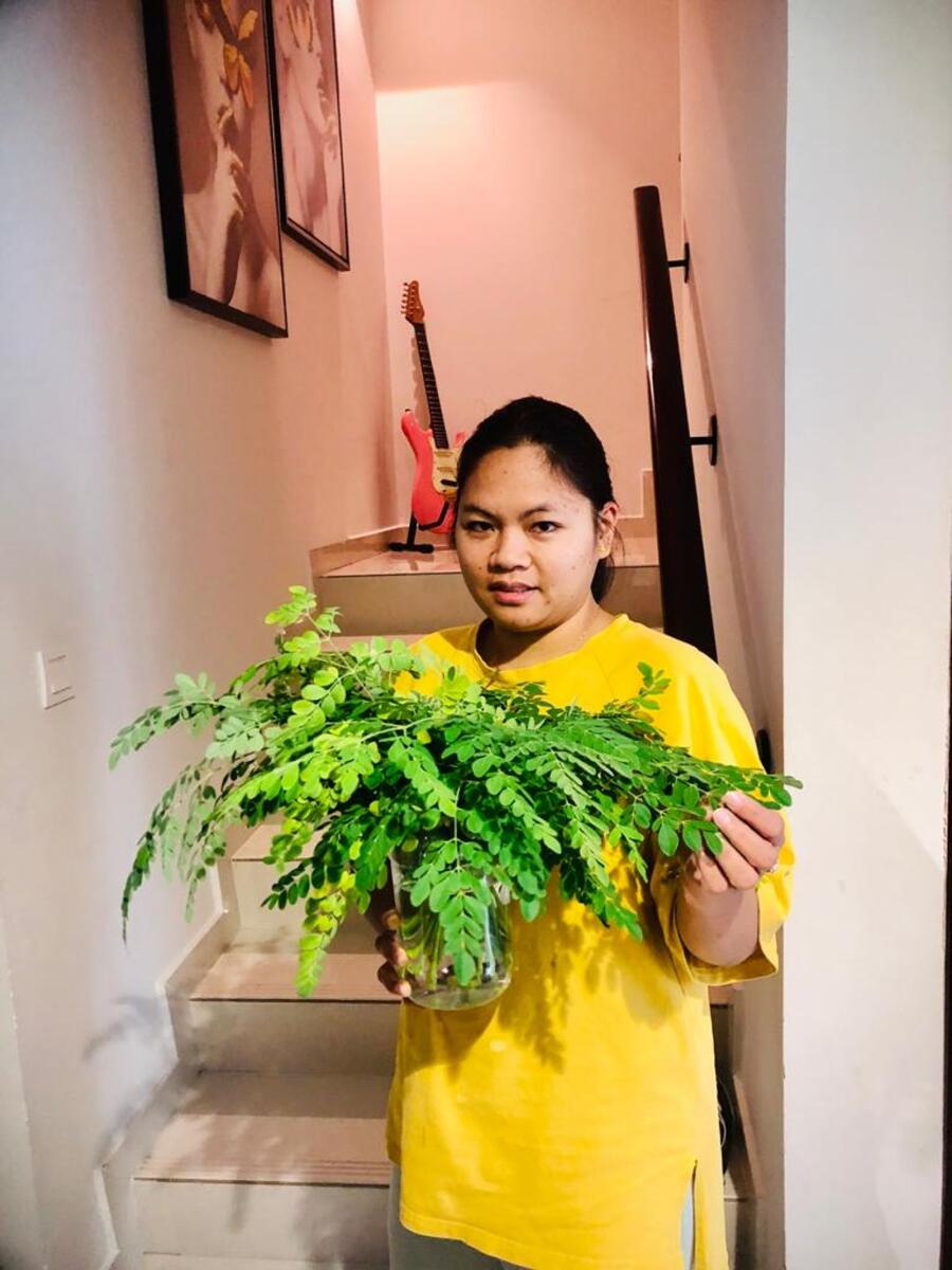 As she casually harvests malunggay leaves, Kris Fade's nanny unwittingly ignites laughter and a surge of nostalgia among Filipinos in the UAE.