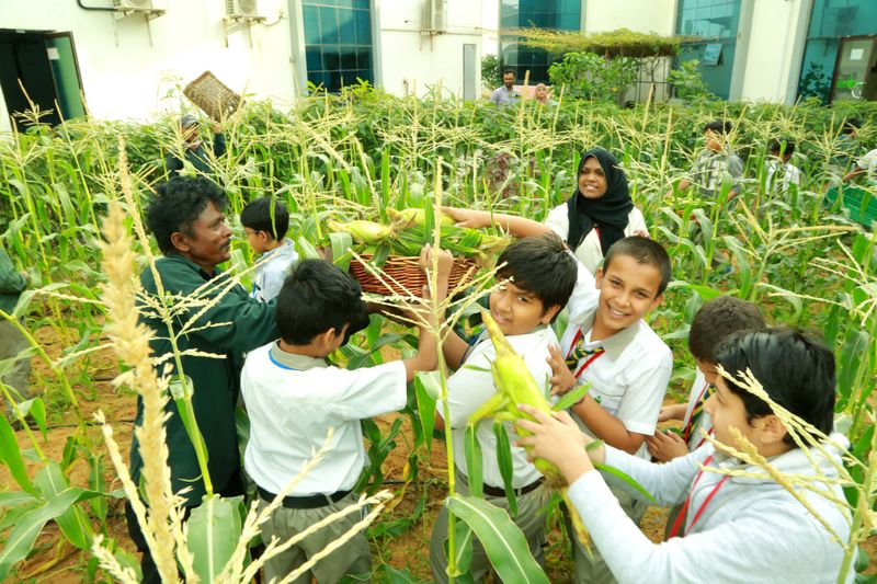Many UAE schoolyards are being converted into farms, promoting sustainable food production and environmental awareness among kids.