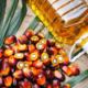 India has decided to continue importing edible oils at lower tax rates until March 2025.