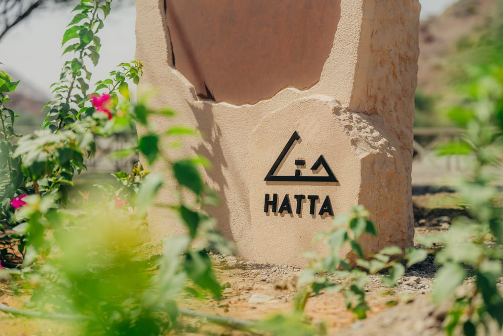 The Hatta Honey Festival has evolved into a treasure trove where beekeepers proudly display their handcrafted wonders.