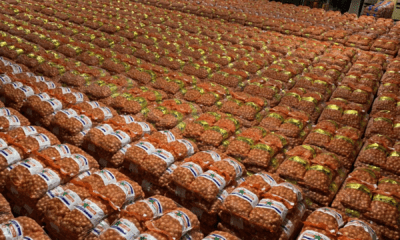 India Permits Onion Exports to UAE, Bangladesh; Imposes Quarterly Ceiling