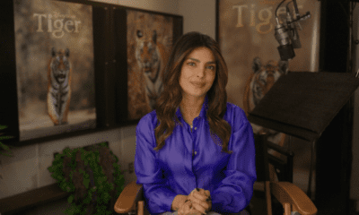 Priyanka Chopra Jonas to Narrate Disneynature's Film 'Tiger'