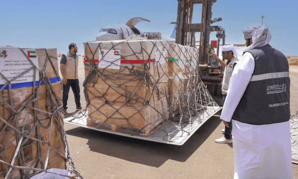 UAE Sends Fifth Plane of Ramadan Relief Aid to Chad